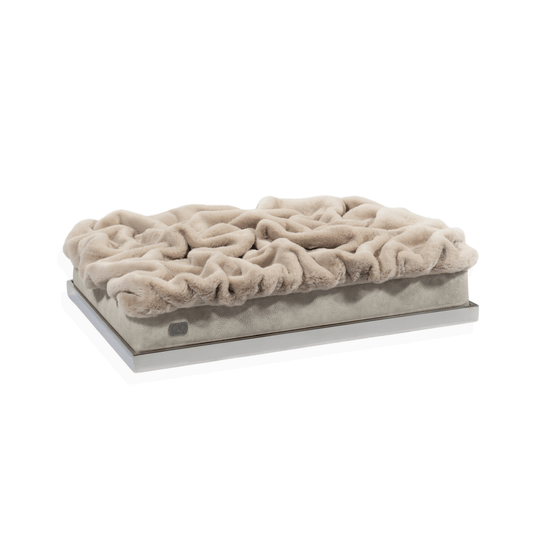 #high-quality design for dogs and cats# - CAO - lifestyle for pets