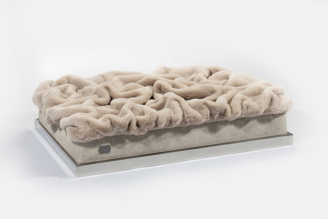 #high-quality design for dogs and cats# - CAO - lifestyle for pets