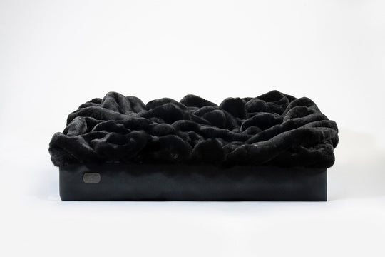 Soho Retreat in black - elegant pet bed for stylish interiors, size XS-L, without frame, exclusively from CAO - Lifestyle for Pets