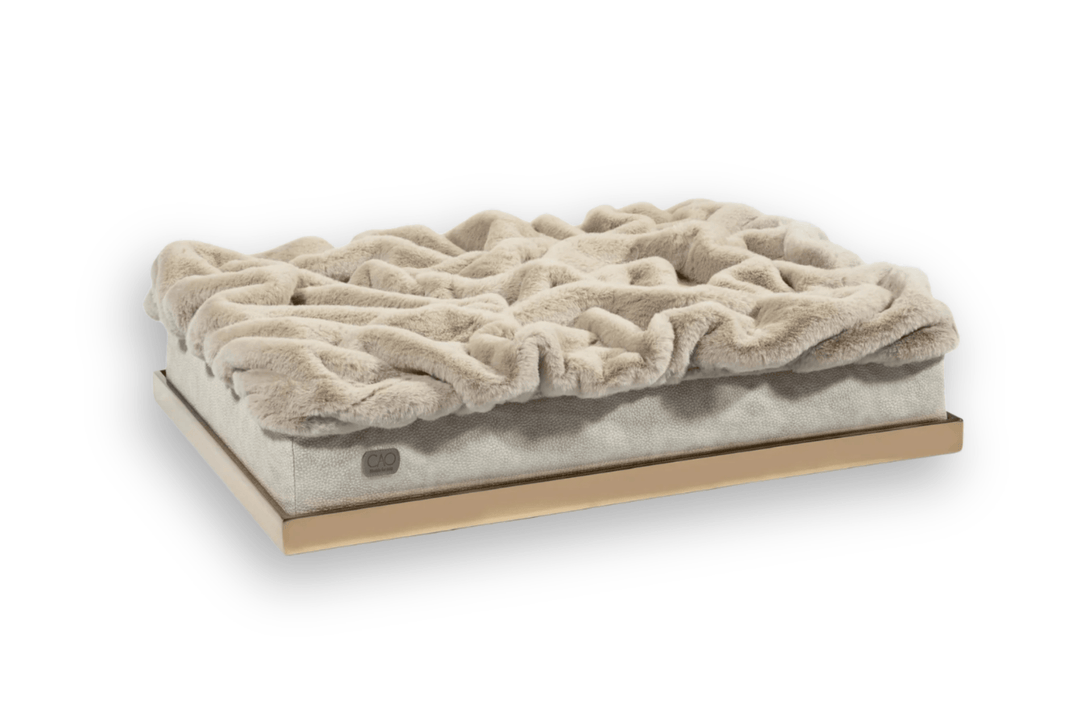 #high-quality design for dogs and cats# - CAO - lifestyle for pets