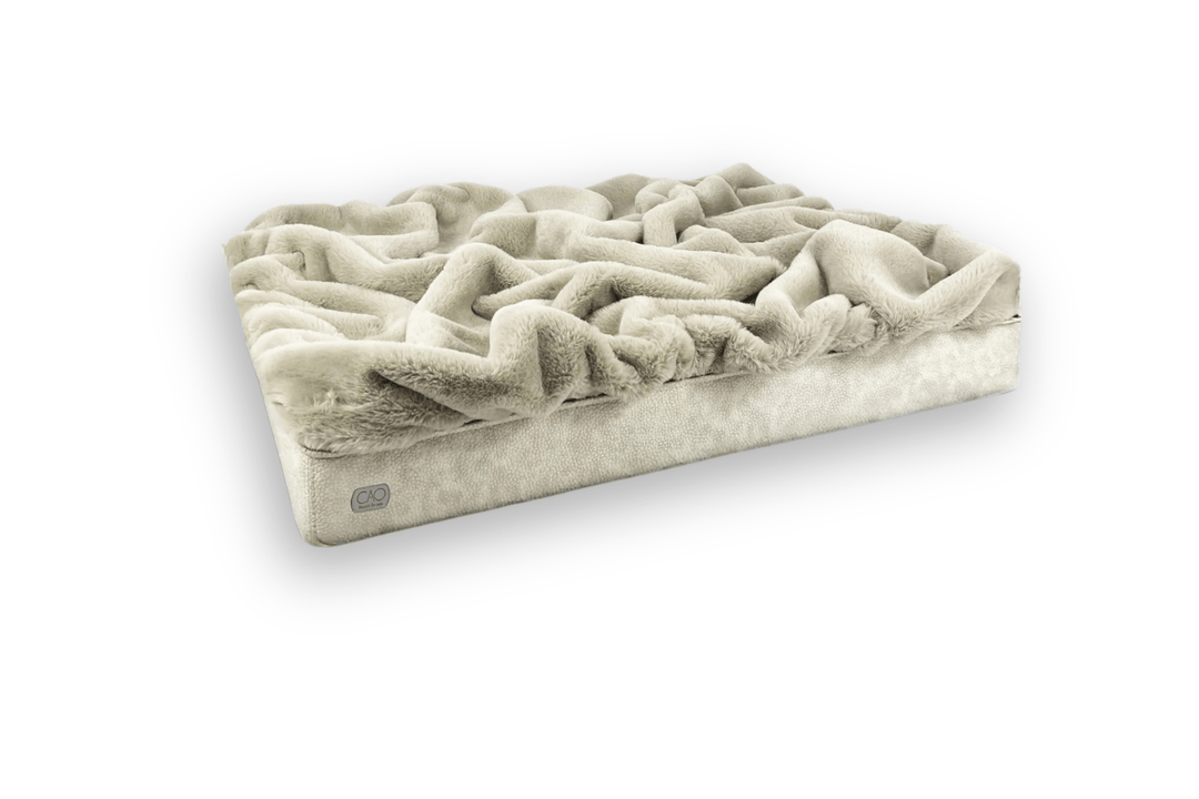 #high-quality design for dogs and cats# - CAO - lifestyle for pets