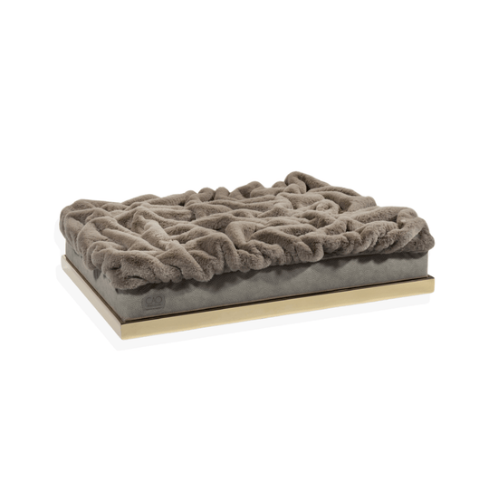 #high-quality design for dogs and cats# - CAO - lifestyle for pets