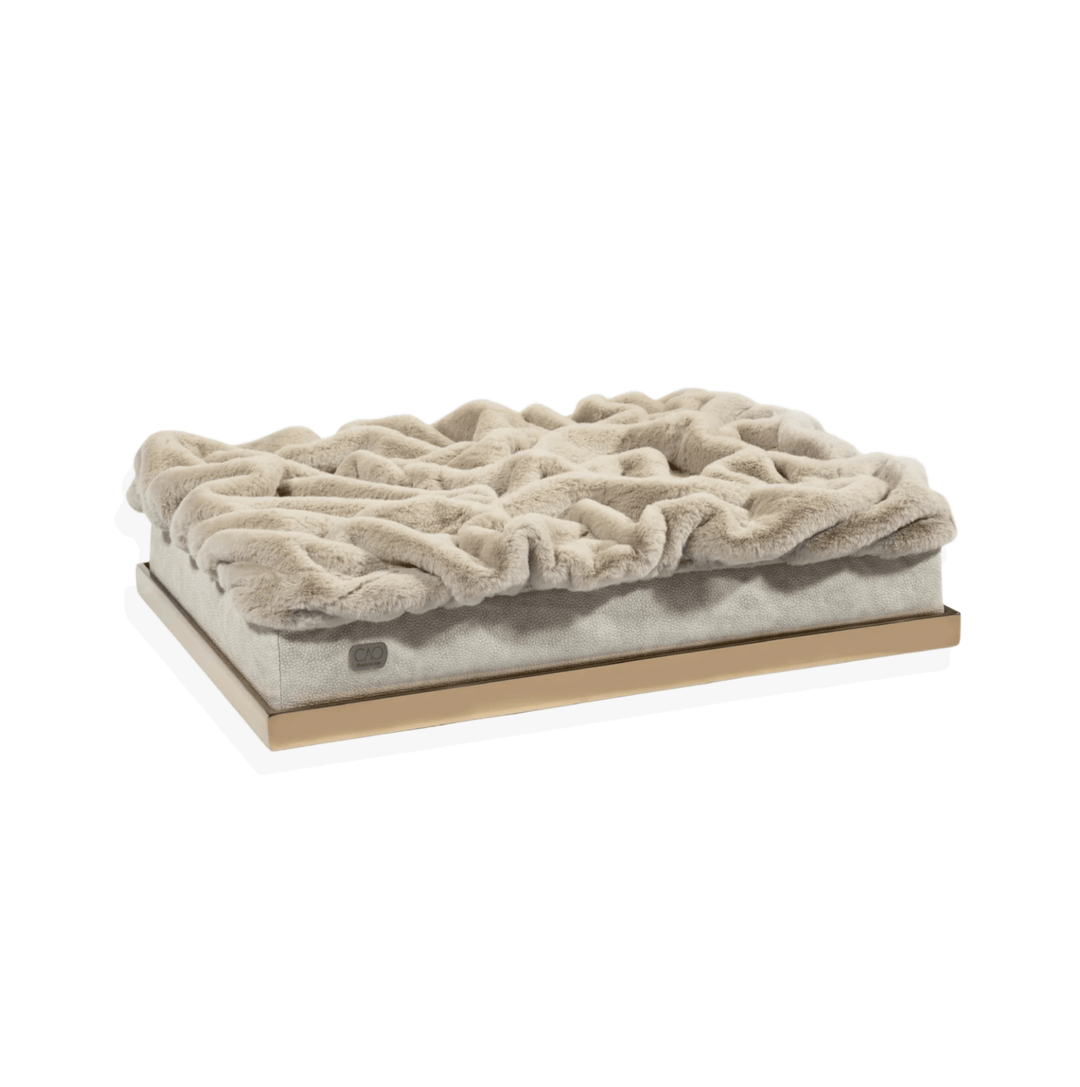 #high-quality design for dogs and cats# - CAO - lifestyle for pets