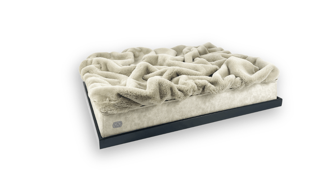 #high-quality design for dogs and cats# - CAO - lifestyle for pets