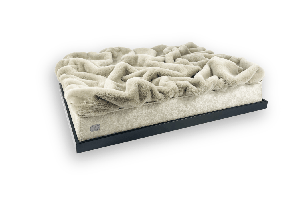 #high-quality design for dogs and cats# - CAO - lifestyle for pets