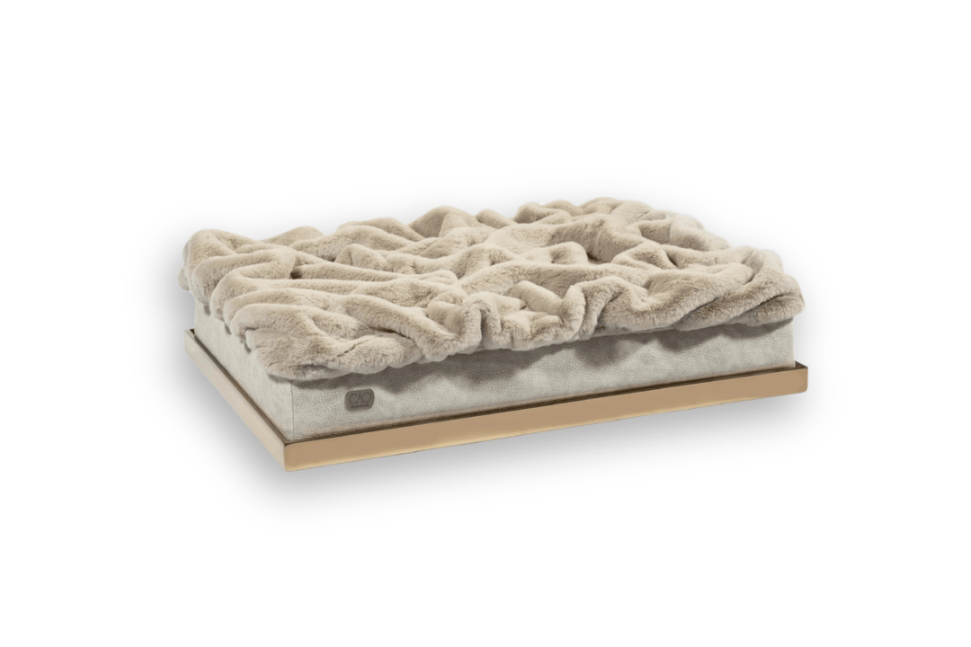 #hochwertiges Design für Hunde und Katzen# - CAO - lifestyle for pets