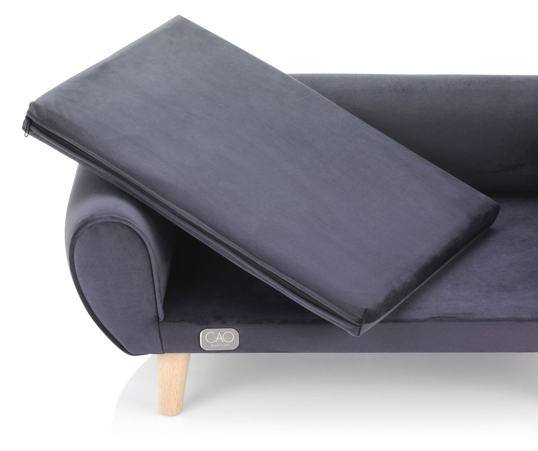 hochwertiges Design für Hunde und Katzen - CAO - lifestyle for pets