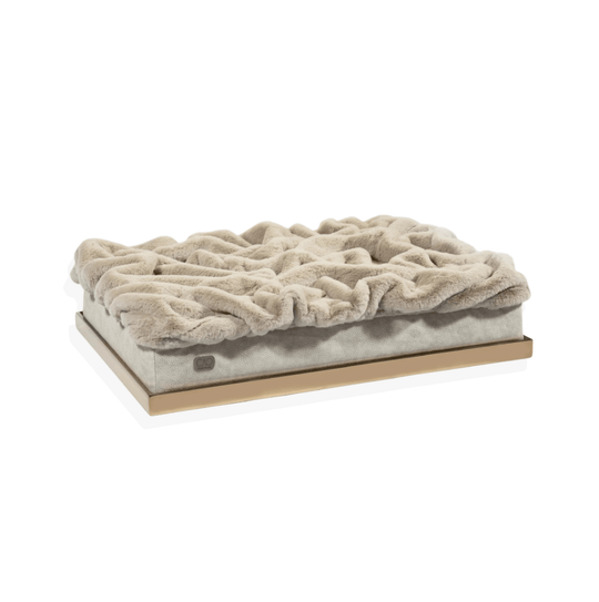 #hochwertiges Design für Hunde und Katzen# - CAO - lifestyle for pets