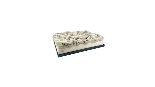 #hochwertiges Design für Hunde und Katzen# - CAO - lifestyle for pets