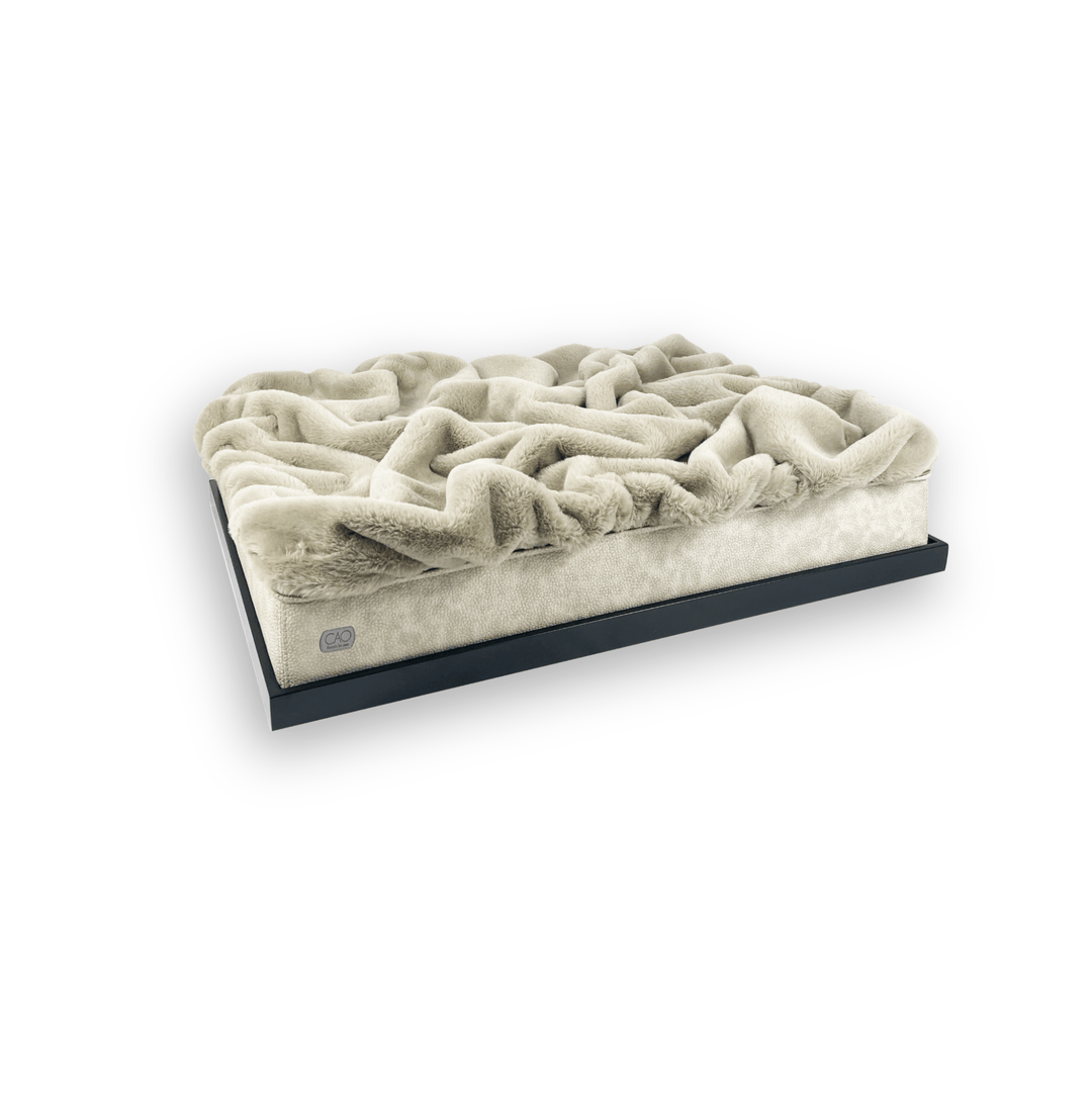 #high-quality design for dogs and cats# - CAO - lifestyle for pets