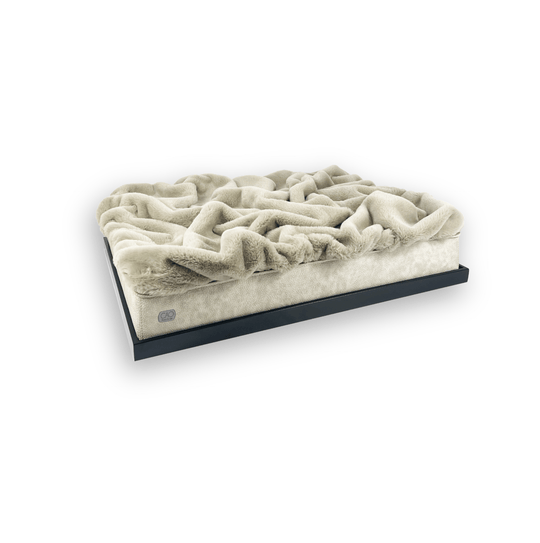 #high-quality design for dogs and cats# - CAO - lifestyle for pets
