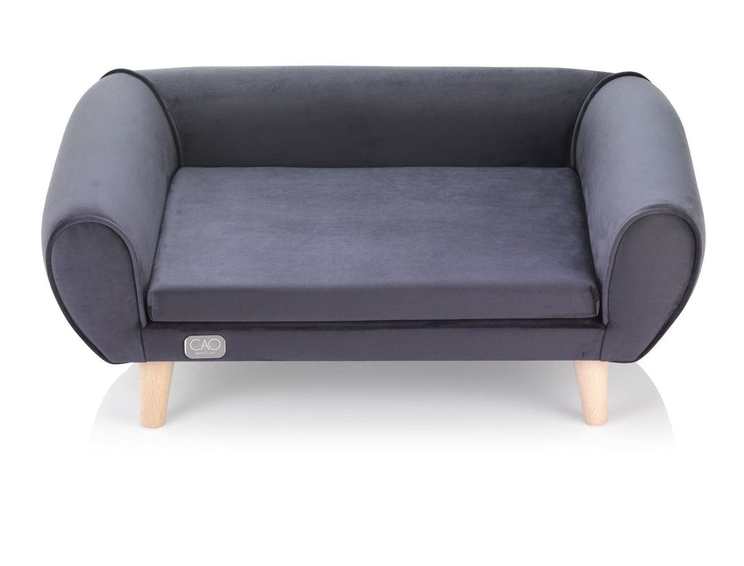 high-quality design for dogs and cats - CAO - lifestyle for pets