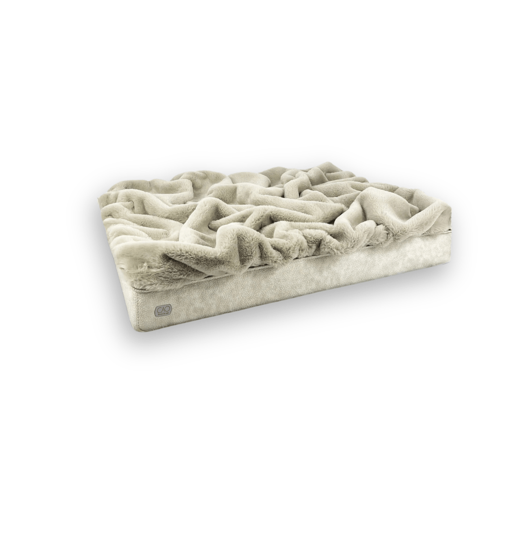 #high-quality design for dogs and cats# - CAO - lifestyle for pets