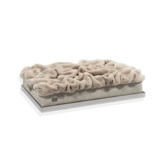 #high-quality design for dogs and cats# - CAO - lifestyle for pets
