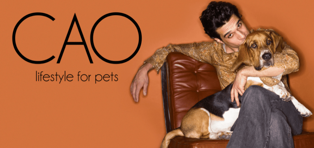 #high-quality design for dogs and cats# - CAO - lifestyle for pets