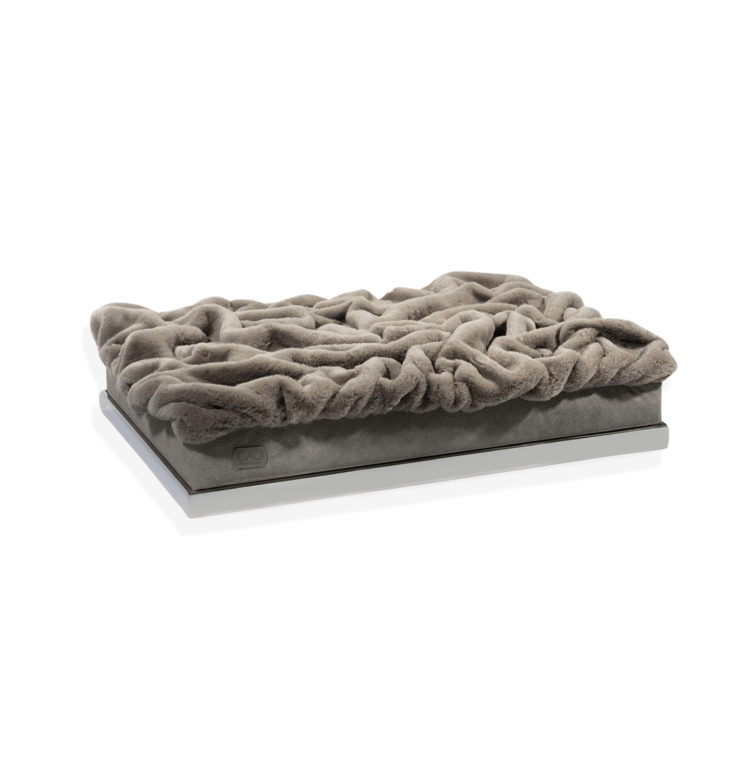 #high-quality design for dogs and cats# - CAO - lifestyle for pets