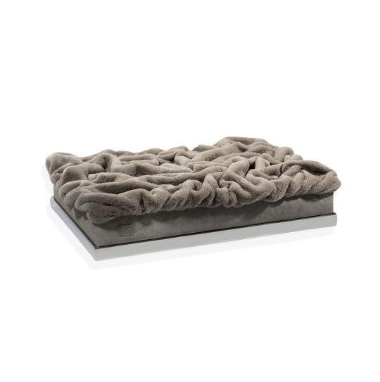 #high-quality design for dogs and cats# - CAO - lifestyle for pets