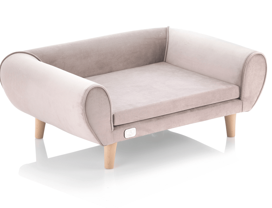 high-quality design for dogs and cats - CAO - lifestyle for pets