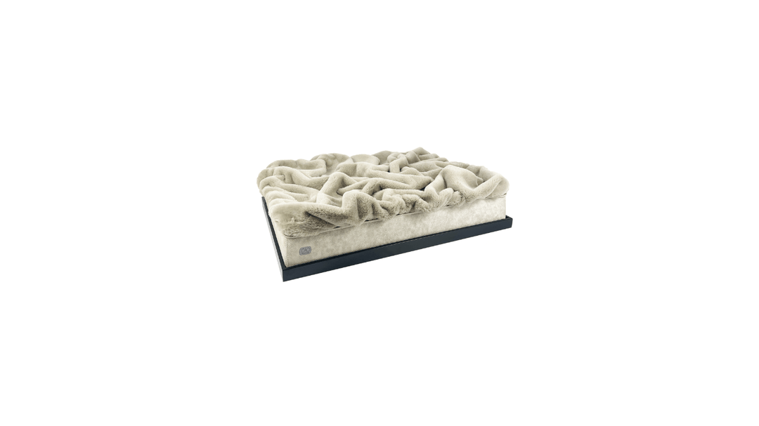 #high-quality design for dogs and cats# - CAO - lifestyle for pets
