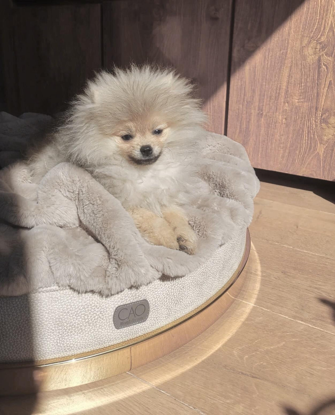 Luxury dog bed Soleil Nook in beige with gold frame - stylish interior for dogs & cats, size XS-L, high-quality design for your home